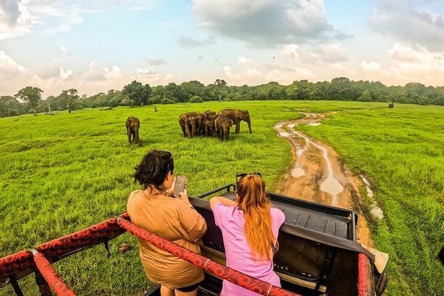 c6fa1d71-6dcc-4dd9-b852-bf29a1fbe9ff_hurulu-eco-park-half-day-wild-elephant-safari-in-sri-lanka-medium